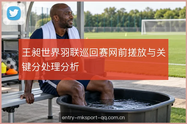 王昶世界羽联巡回赛网前搓放与关键分处理分析
