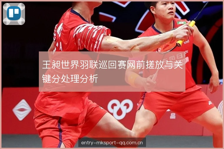 王昶世界羽联巡回赛网前搓放与关键分处理分析 王昶世界羽联巡回赛网前搓放与关键分处理分析